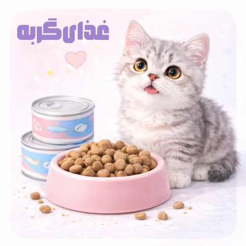 غذای گربه