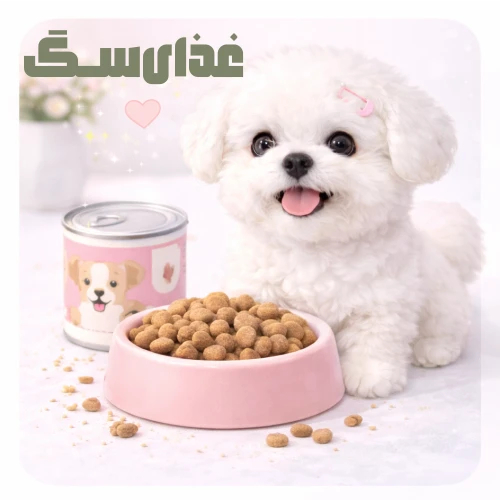 غذای سگ